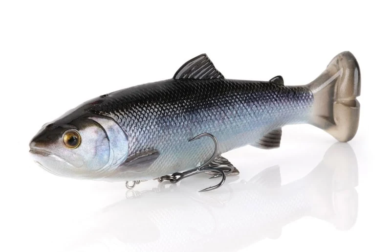 Savage Gear 4D Line Through Pulse Tail Trout 8" SS – Image 2